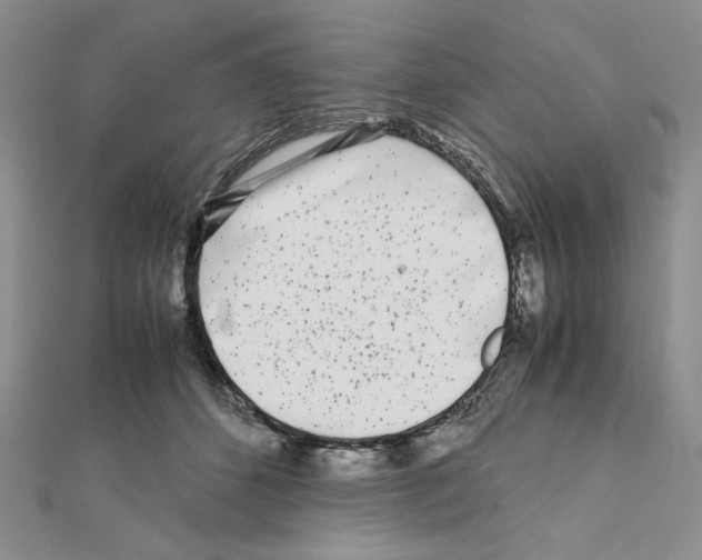 X0000111630512200908281137