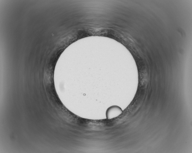 X0000111630515200908281137
