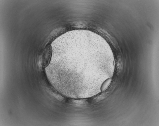 X0000111630516200908281137