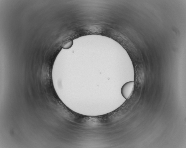 X0000111630518200908281137