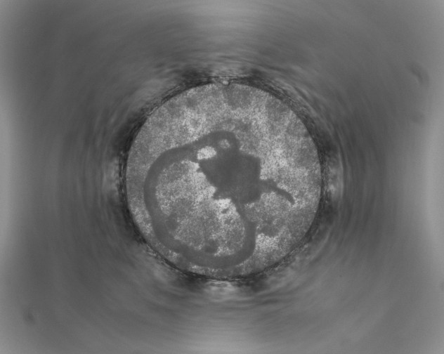 X0000111630519200908281137