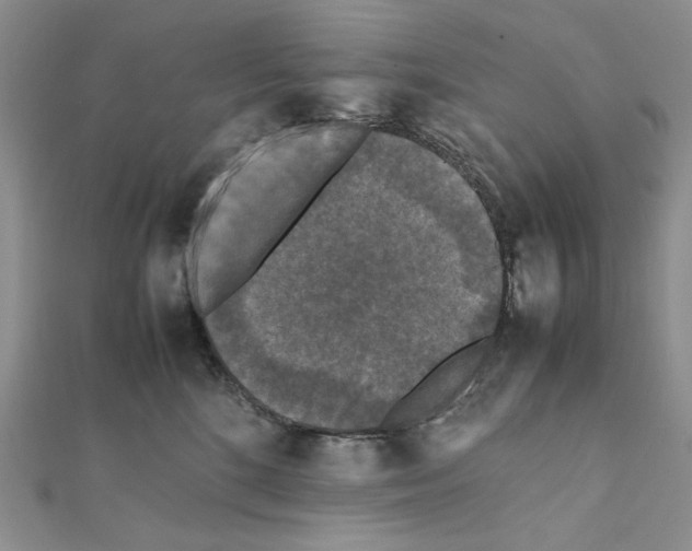 X0000111630520200908281137