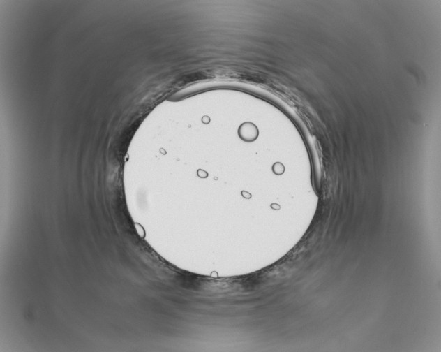 X0000111630521200908281137
