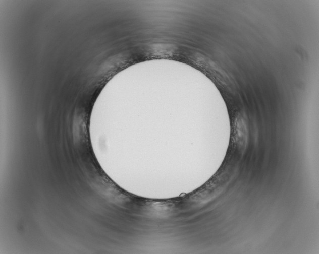 X0000111630522200908281137
