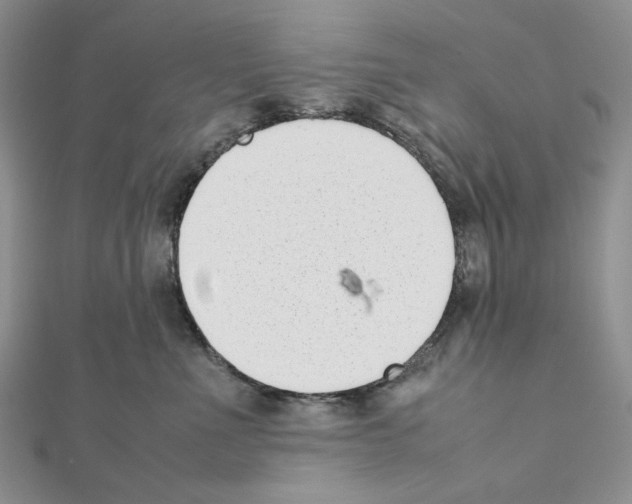 X0000111630523200908281137