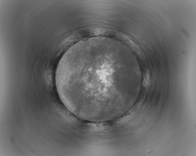 X0000111630524200908281137