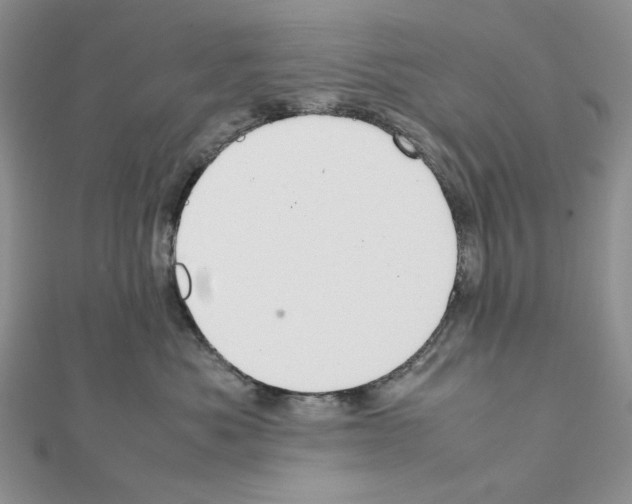 X0000111630525200908281137