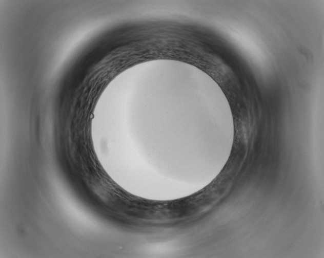 X0000111630526200908281137