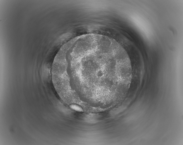 X0000111630527200908281137