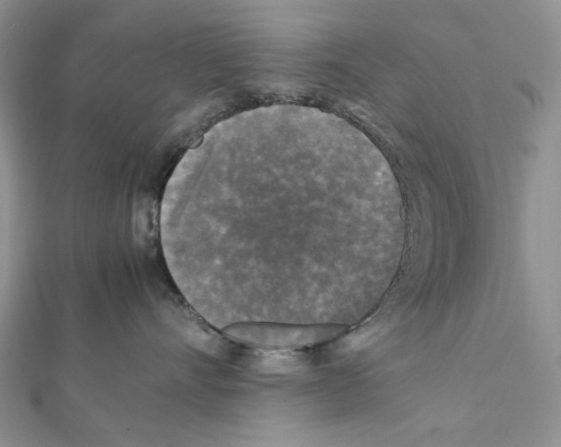 X0000111630528200908281137
