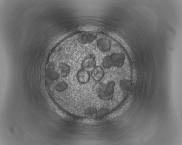 X0000111630529200908281136