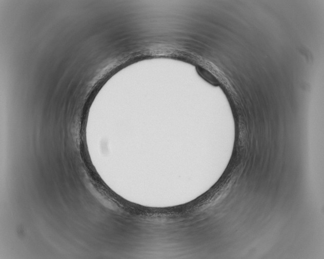 X0000111630530200908281136