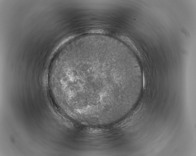X0000111630531200908281136