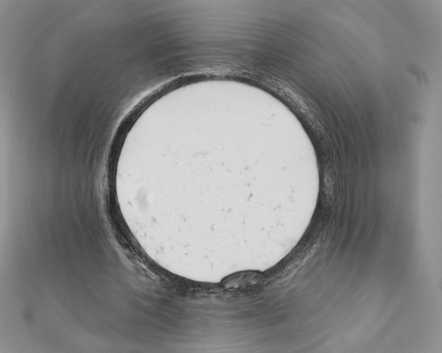 X0000111630532200908281136