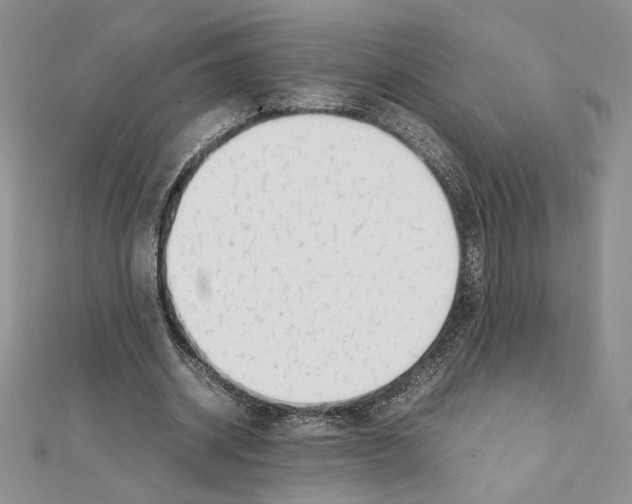 X0000111630534200908281136