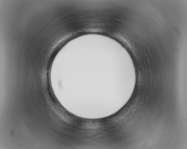 X0000111630535200908281136
