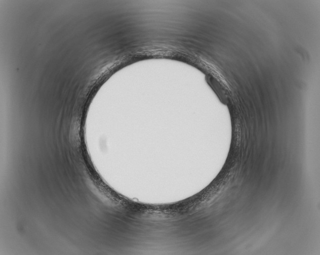 X0000111630538200908281136
