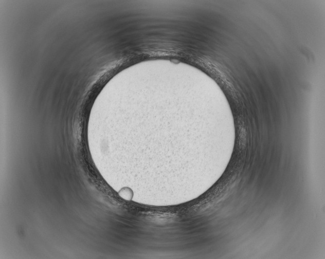 X0000111630539200908281136