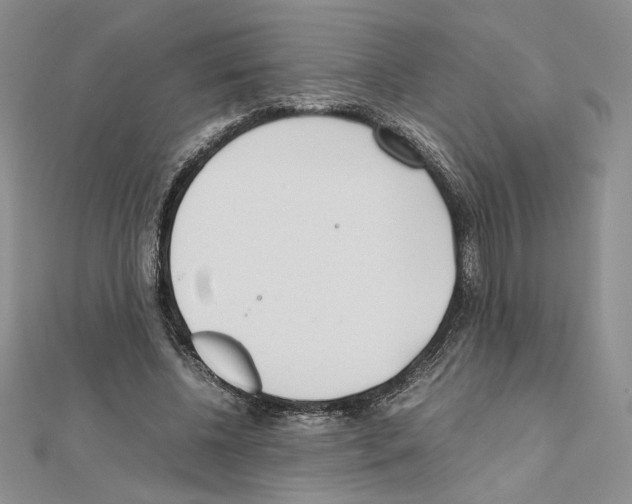 X0000111630540200908281136