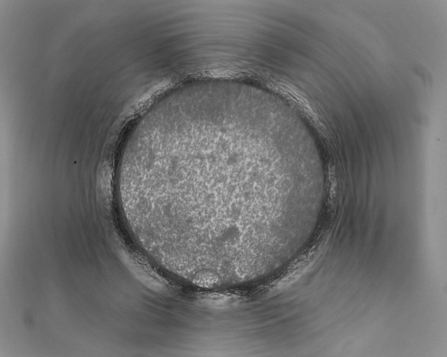 X0000111630542200908281136