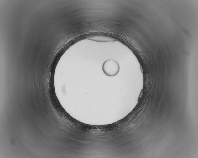 X0000111630544200908281136