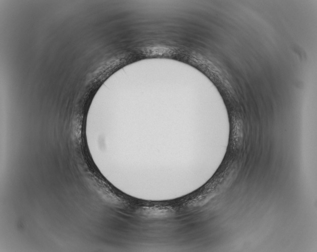 X0000111630545200908281136