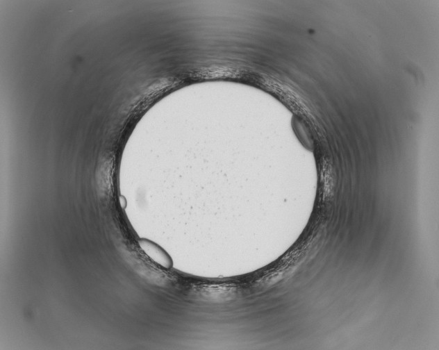 X0000111630546200908281136