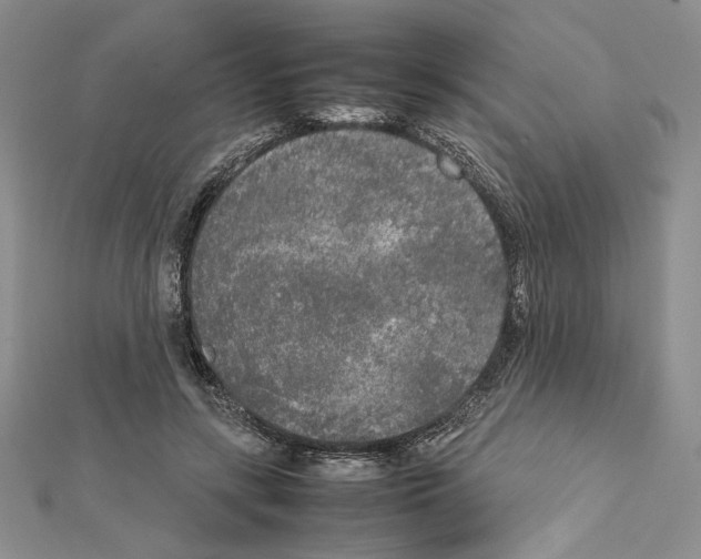 X0000111630547200908281136