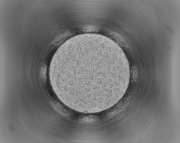 X0000111630550200908281137