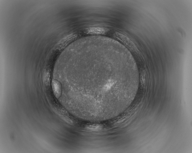 X0000111630551200908281137