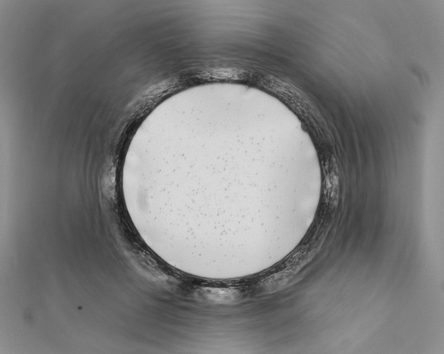 X0000111630552200908281137
