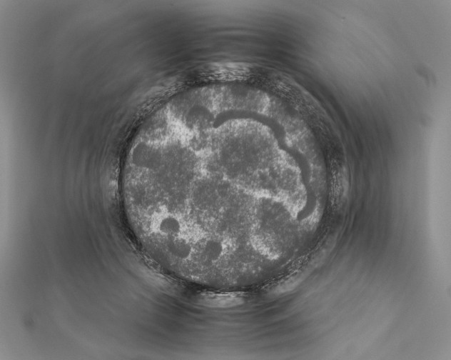 X0000111630553200908281137