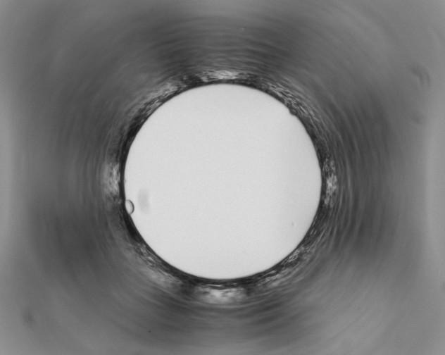 X0000111630555200908281137