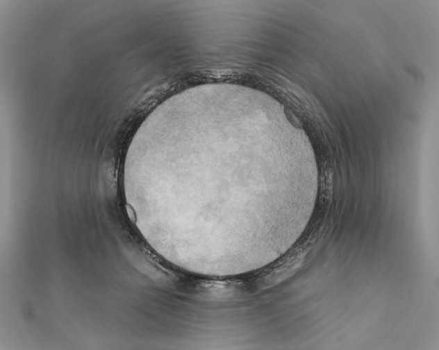 X0000111630558200908281137