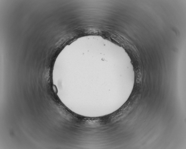 X0000111630560200908281137