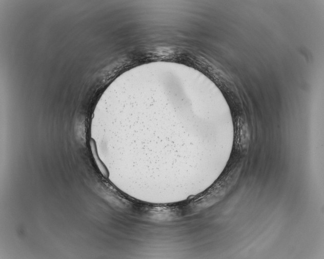 X0000111630562200908281137