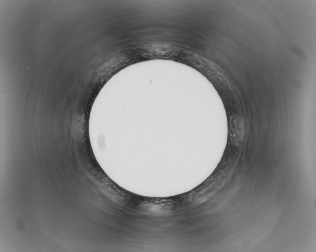 X0000111630563200908281137