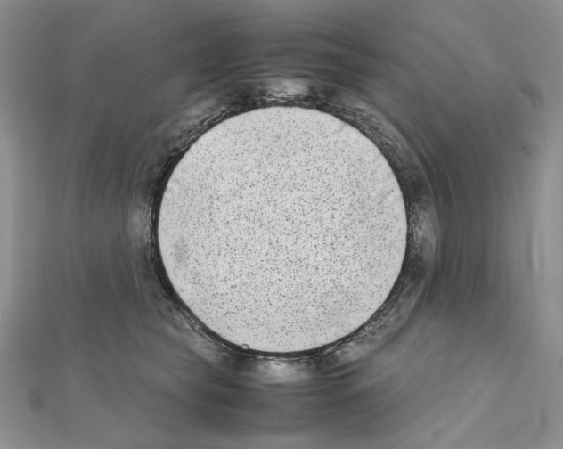 X0000111630565200908281137