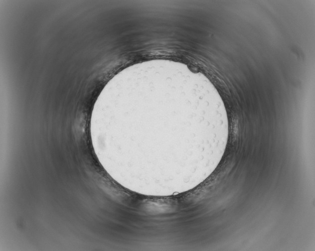 X0000111630567200908281137