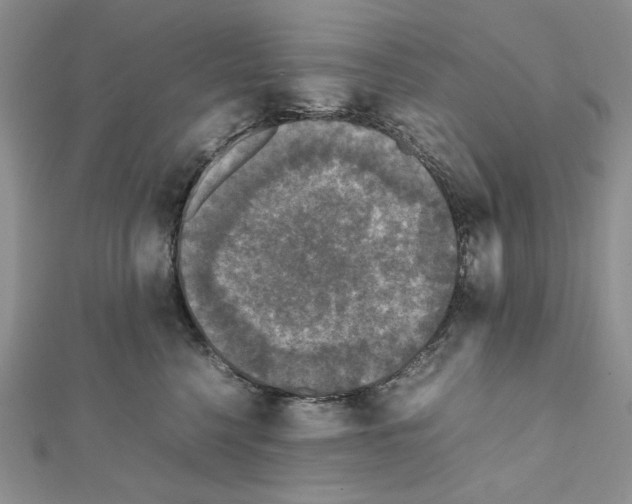 X0000111630568200908281137