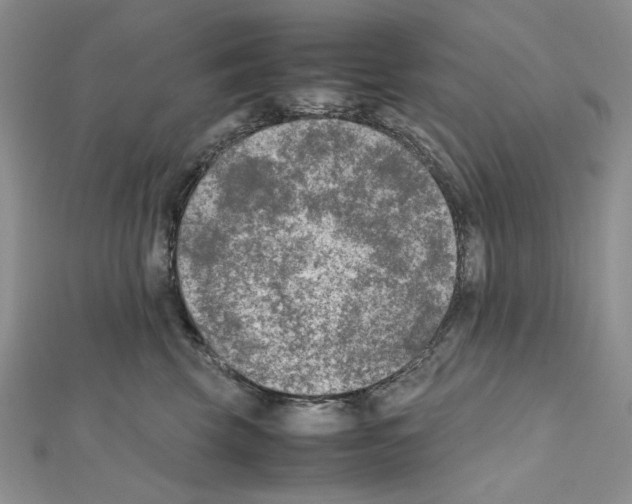 X0000111630569200908281137