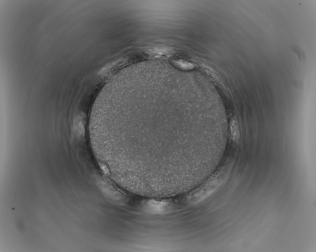 X0000111630570200908281137