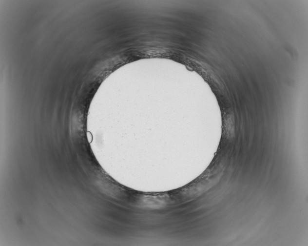 X0000111630571200908281137