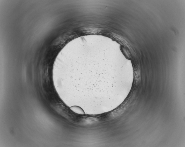 X0000111630572200908281137