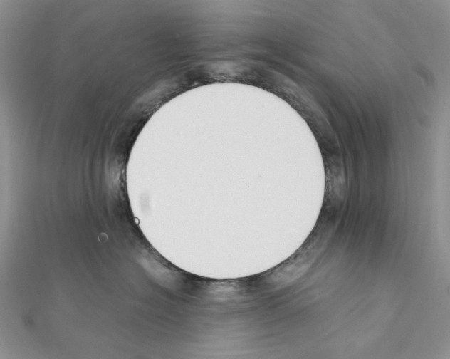 X0000111630574200908281137
