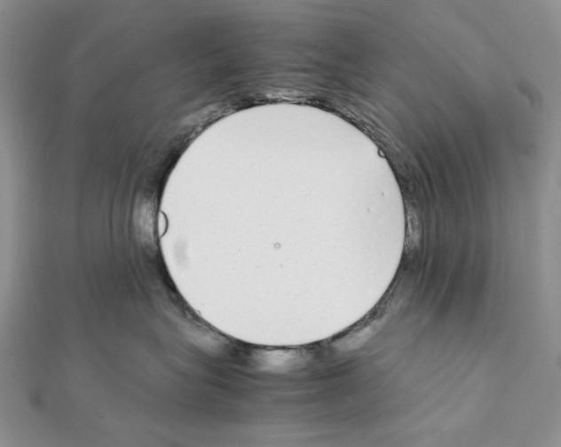 X0000111630575200908281137