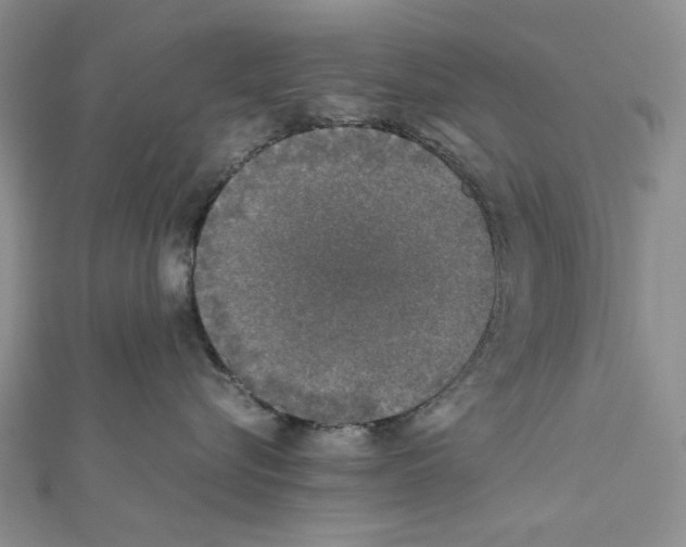 X0000111630576200908281137
