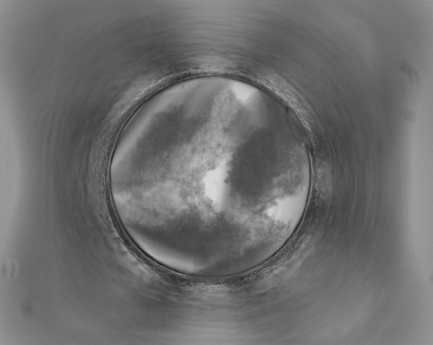 X0000111630577200908281136