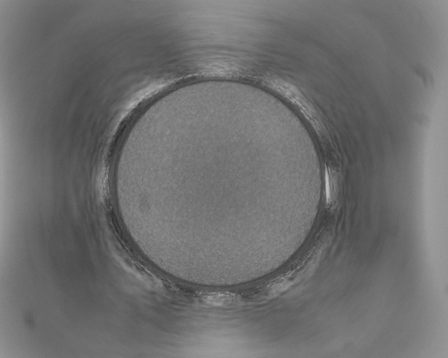 X0000111630579200908281136