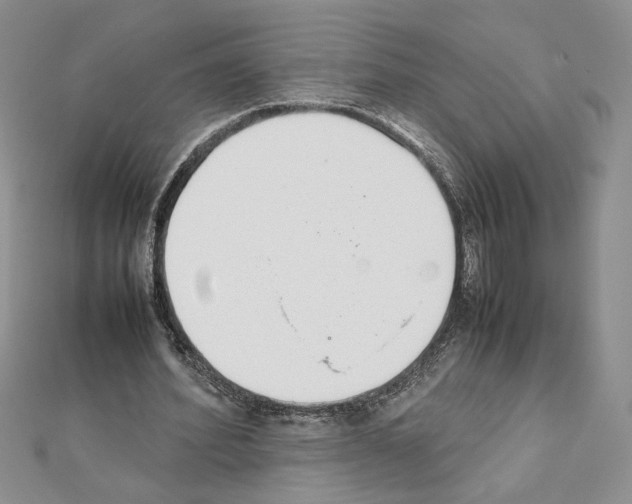 X0000111630580200908281136